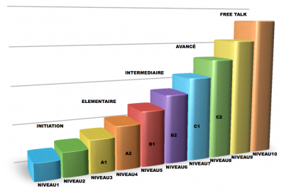 graphique-niveau-langues-fr.png