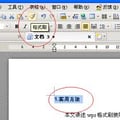 The little brush on the tool bar is for the purpose of :